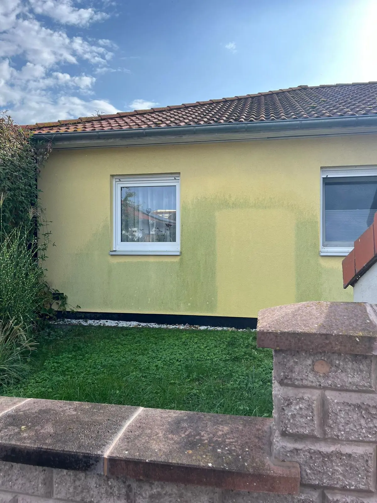 Hausfassade mit Algenbefall vor und nach der Reinigung – SteinTec Bamberg