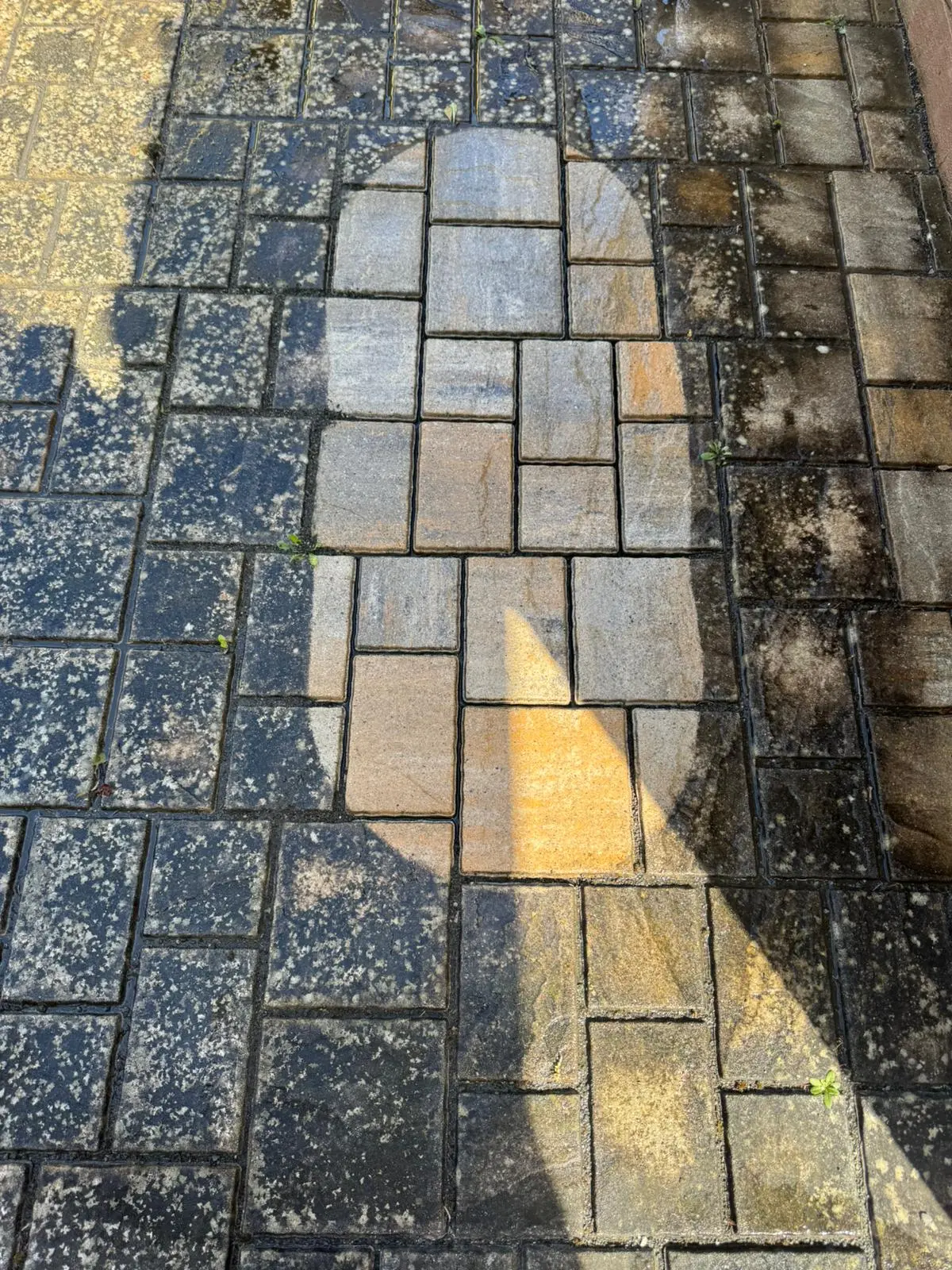 Hofpflaster Detailaufnahme nach Pflasterreinigung – SteinTec Bamberg