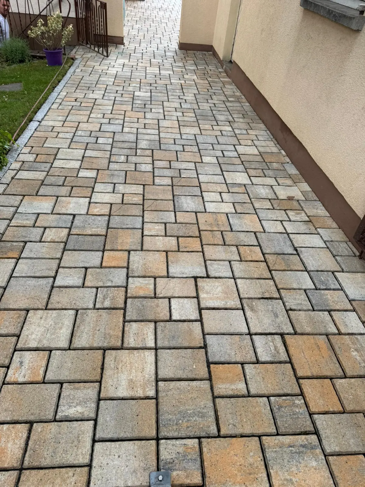 Sauber gereinigter Pflasterweg am Hauseingang – SteinTec Bamberg